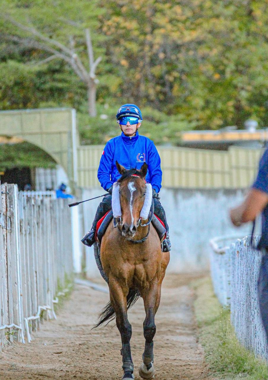 Mootien Stables - Elite Horse Racing in Mauritius