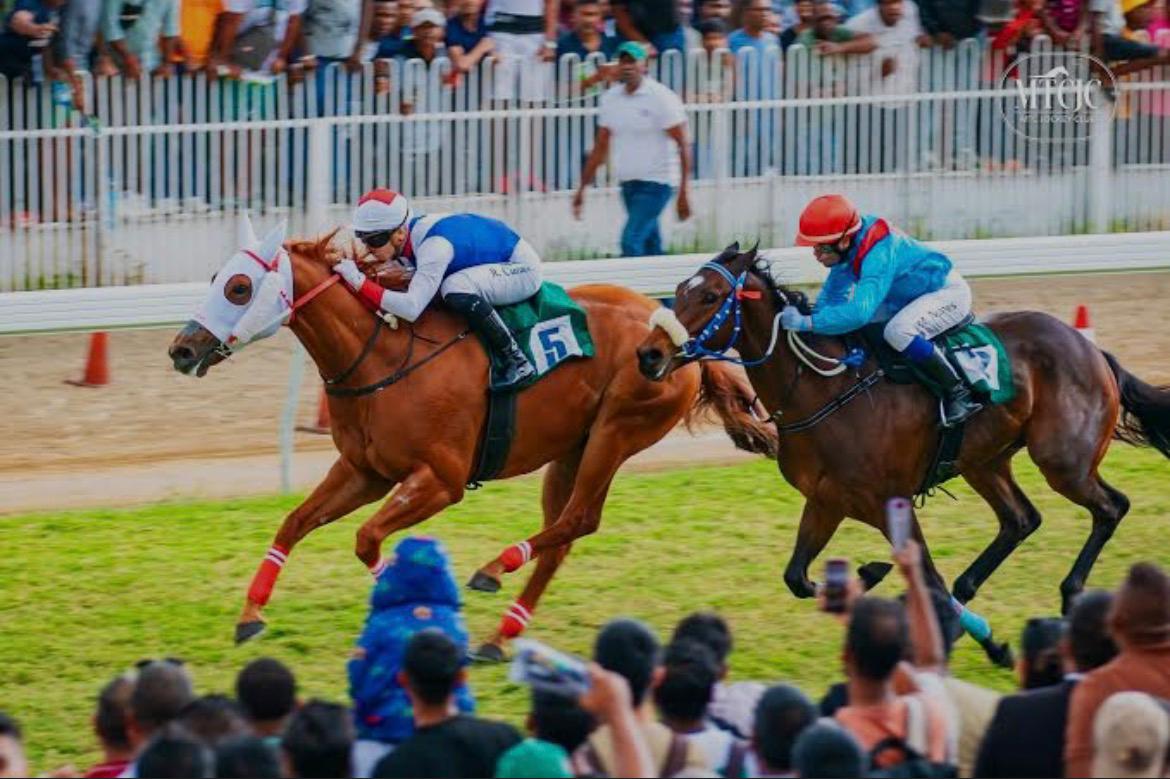 Mootien Stables - Elite Horse Racing in Mauritius