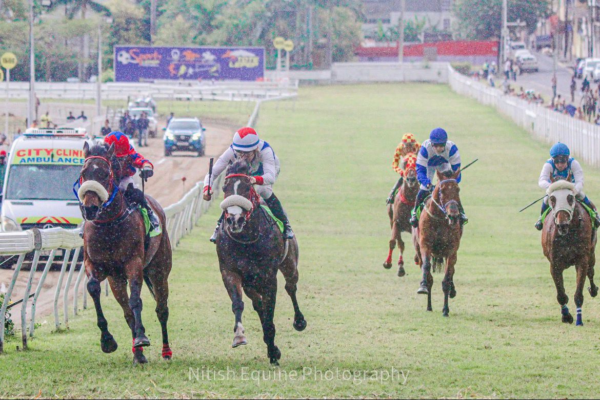 Mootien Stables - Elite Horse Racing in Mauritius